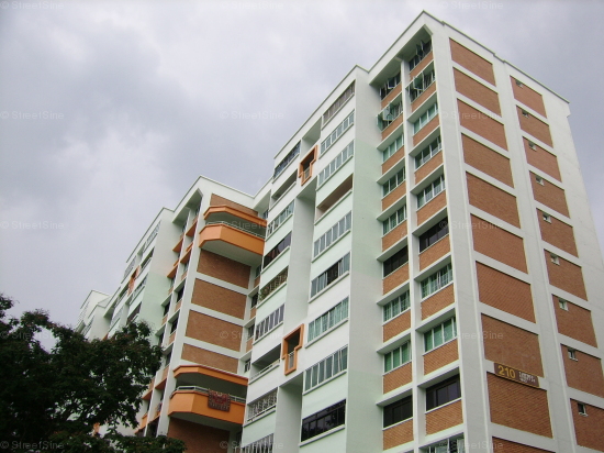 Blk 210 Tampines Street 23 (Tampines), HDB 5 Rooms #113202